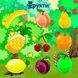 Книжка на липучках Прилипайка-розвивайка для малечі 978-617-8414-16-0 фото 5