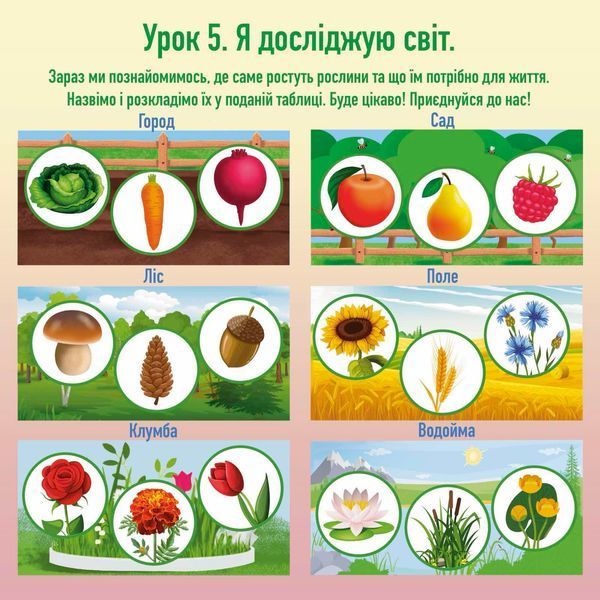 Книжка на липучках Колючка і Пухнастик йдуть до школи