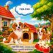 Книжка на липучках Свійські тварини та птахи 978-617-8414-03-0 фото 3