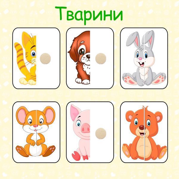 Книжка на липучках Мої перші половинки