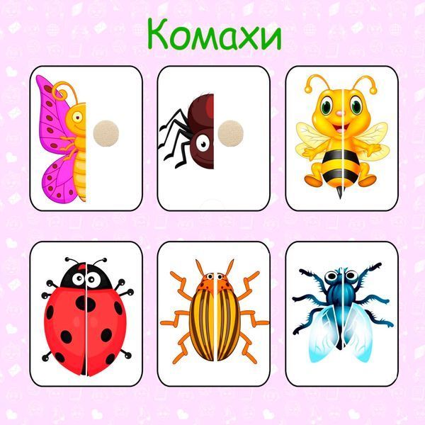 Книжка на липучках Мої перші половинки