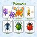 Книжка на липучках Мої перші половинки