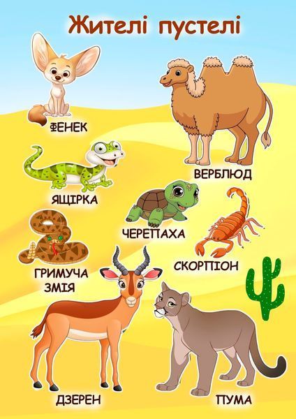 Книжка на липучках Тварини світу