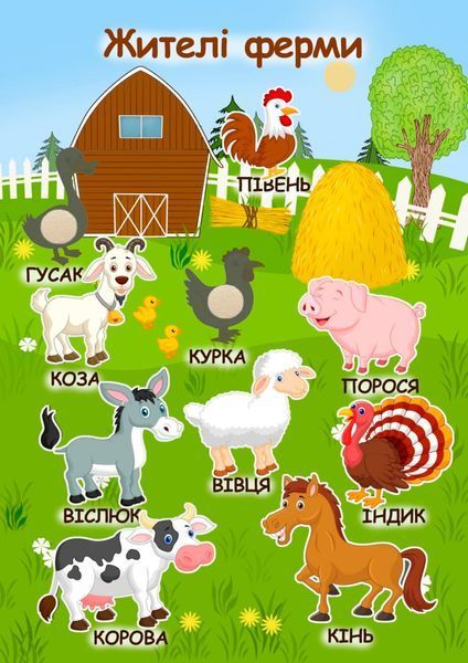 Книжка на липучках Тварини світу
