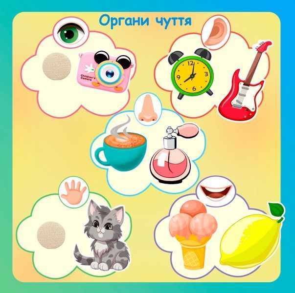 Книжка на липучках Сортер для малечі